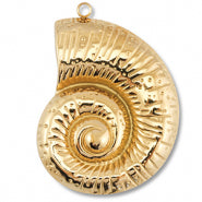 * Eva
